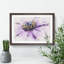 Pollen of a Purple Gerbera Flower - Picture Frame Graphic Art Print-56892556-56892567