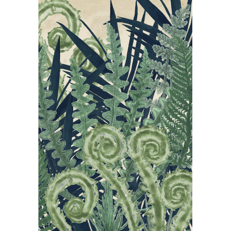 Fiddlehead Waltz II by Naomi McCavitt - Wrapped Canvas Painting, 46cm H x 30cm W
