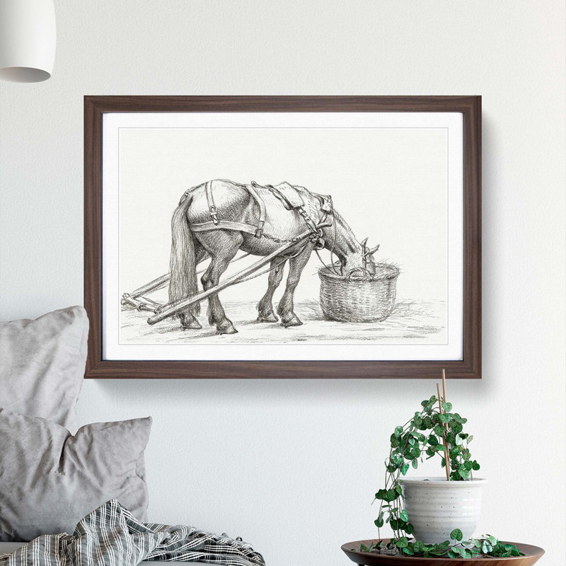 Horse Drinking by Jean Bernard - Picture Frame Drawing Print, 36cm H x 48cm W x 2cm D, Walnut Framed