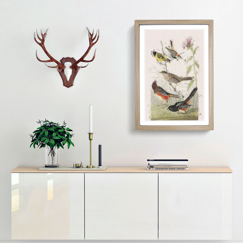A Selection of Birds by John Audubon - Framed Print, 33cm H x 24cm W x 2cm D, Oak Framed