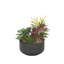 Fausse plante grasse-1257713685