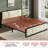 Upholstered Platform Bed with 2 Storage Drawers, Modern Bed Frame with Charging Station, Storage Bed with Velvet Tufted Headboard, No Spring Boxing Needed-1819748593