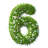 Number 6 Of Grass And Flower by BlackJack3D - No Frame Print on Canvas-1137413294