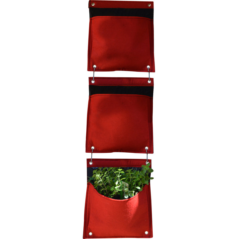 LosPalmos Wall Planter, Red