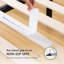 Wayfair Sleep™ 14" Steel Platform Bed Frame-1260290326
