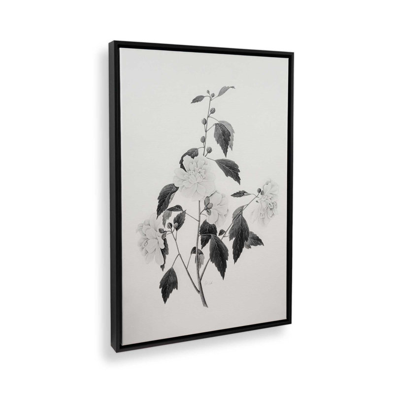 «Botanical III» par Deborah Revell, reproduction d'art sur toile, Noir, Cadre flottant, H 30 po x l 20 po
