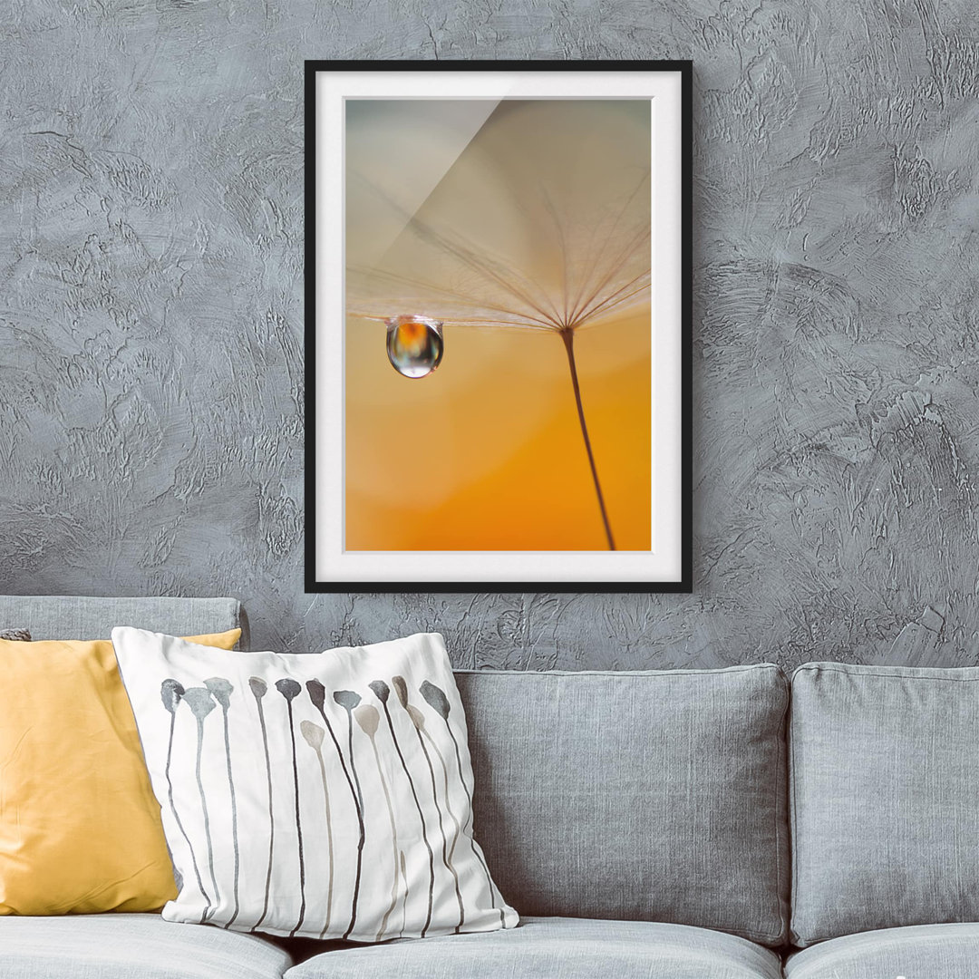 Gerahmtes Papierbild Pusteblume in Orange