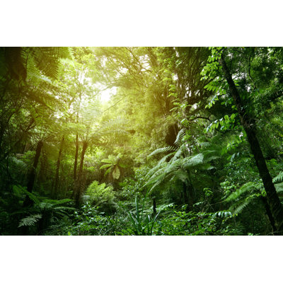 Jungle par Stillfx - Photographie sur toile tendue