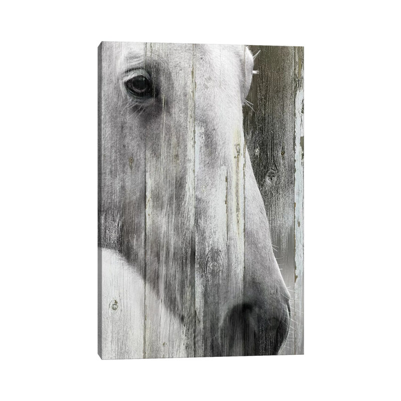 Contemplation by Carol Robinson - Print on Canvas, Wrapped Canvas, 66.04 cm H x 45.72 cm W x 1.91 cm D