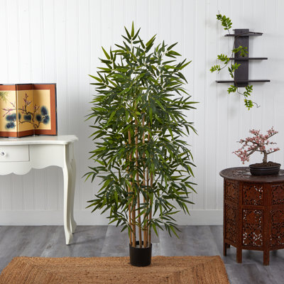 Bamboo Silk Tree