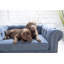 Lit canapé tucson furniture dog