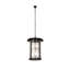 Fulton 8 - Light Chandelier