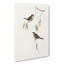 Plain-Coloured Finch by Elizabeth Gould - Wrapped Canvas-55325242
