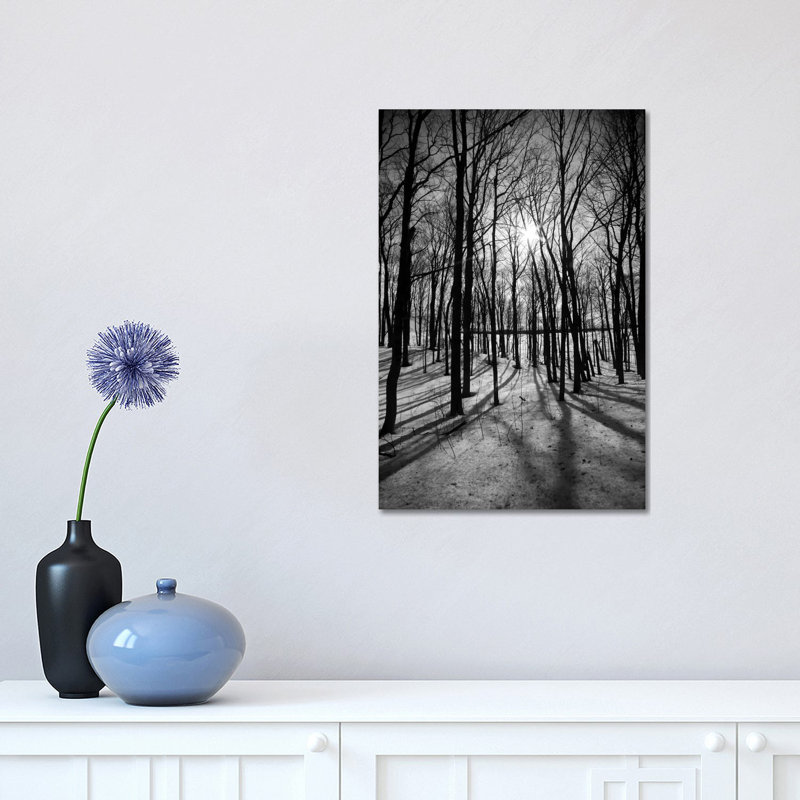 Forest On The Oak Ridges Moraine by Unknown Artist - Wrapped Canvas Print, 30.48 cm H x 45.72 cm W