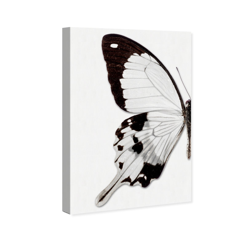 Papillon monochrome I - photographie sur toile, H 54 po x l 36 po
