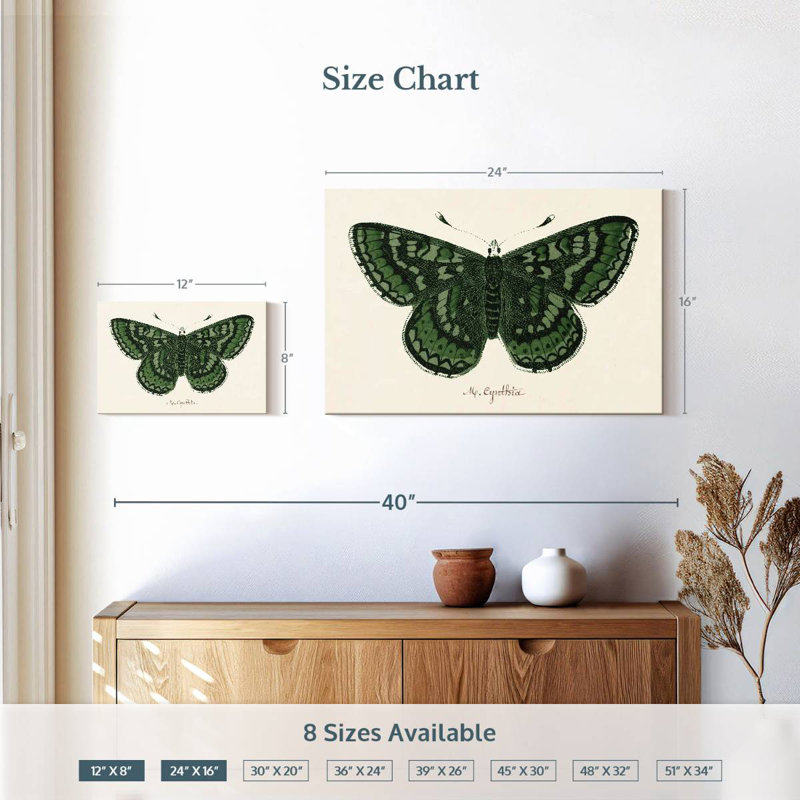Brampt Antique Butterfly I, 16" H x 24" W