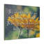 His Face Shine Numbers 6:25-26 1 Piece Wrapped Canvas Wall Art-1013241778