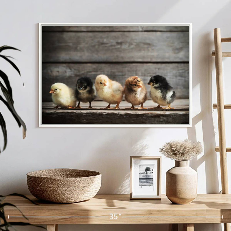 Rangée de poussins, Cadre flottant blanc, 25 po x 17 po