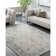 Hengrove Machine Woven Indoor Area Rug