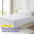 Waterproof Zipper Encasement For Mattress Bed Bug Resistant & Hypoallergenic-113414884