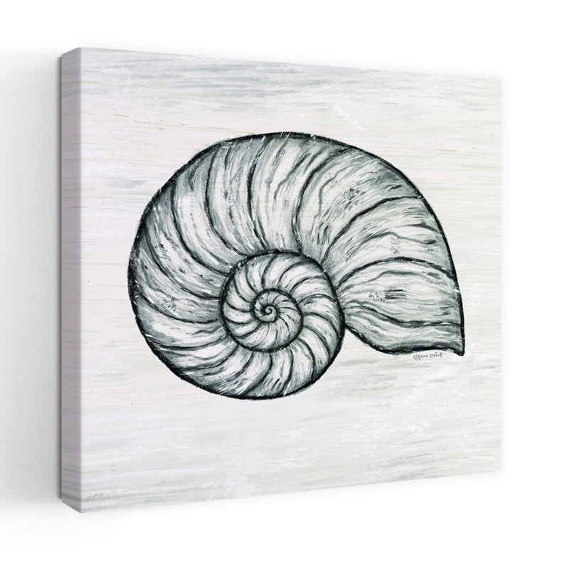Coquillage nautique côtier avec coquille de Nautilus, H 18 po x l 18 po