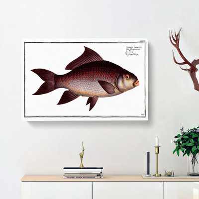 Fringed Carp Fish by M.E. Bloch - Wrapped Canvas