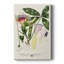 Imperial Tropical Botanical II - galerie Cavas sur mesure-844491767