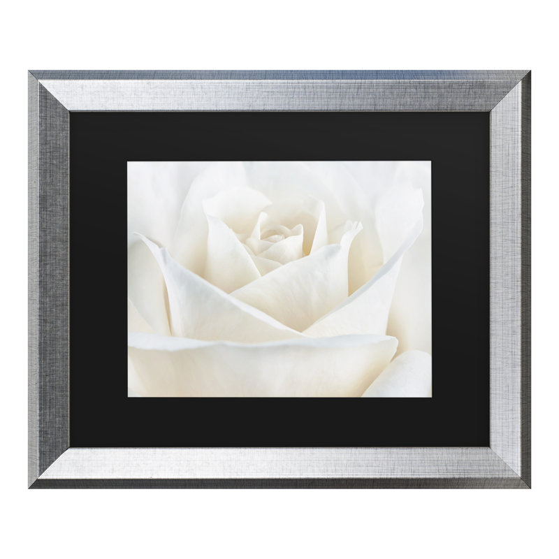 «Pure White Rose», reproduction de photo encadrée, H 11 po x l 14 po x P 0,5 po, Encadrement argenté, Noir
