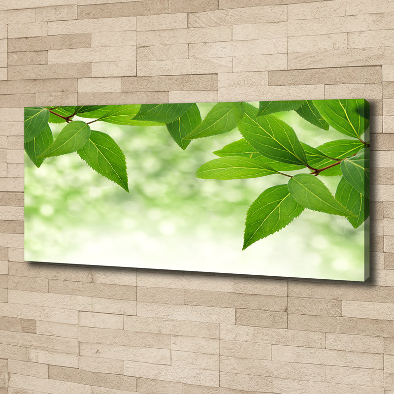 Green Leaves - No Frame Print on Canvas
