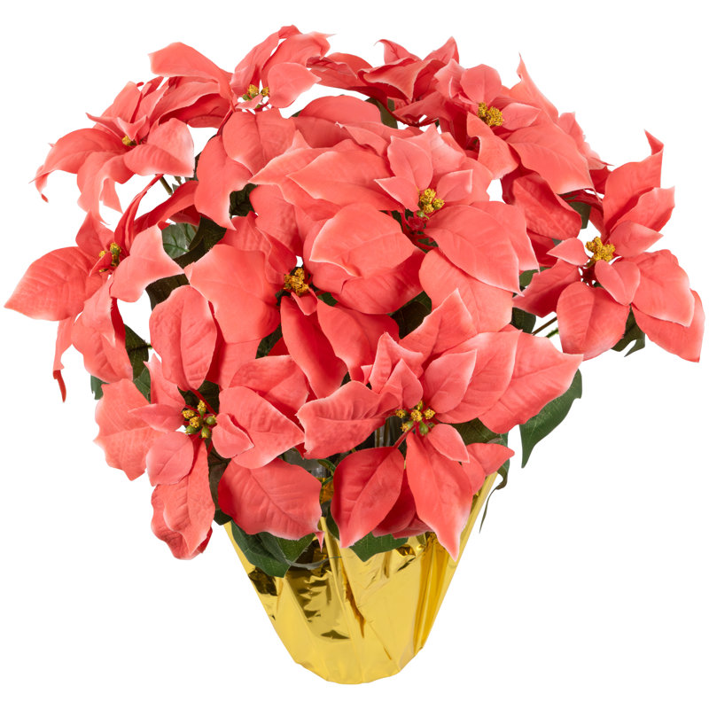 Arrangement de poinsettias, H 20 po x l 15 po x P 15 po, Rose, Or