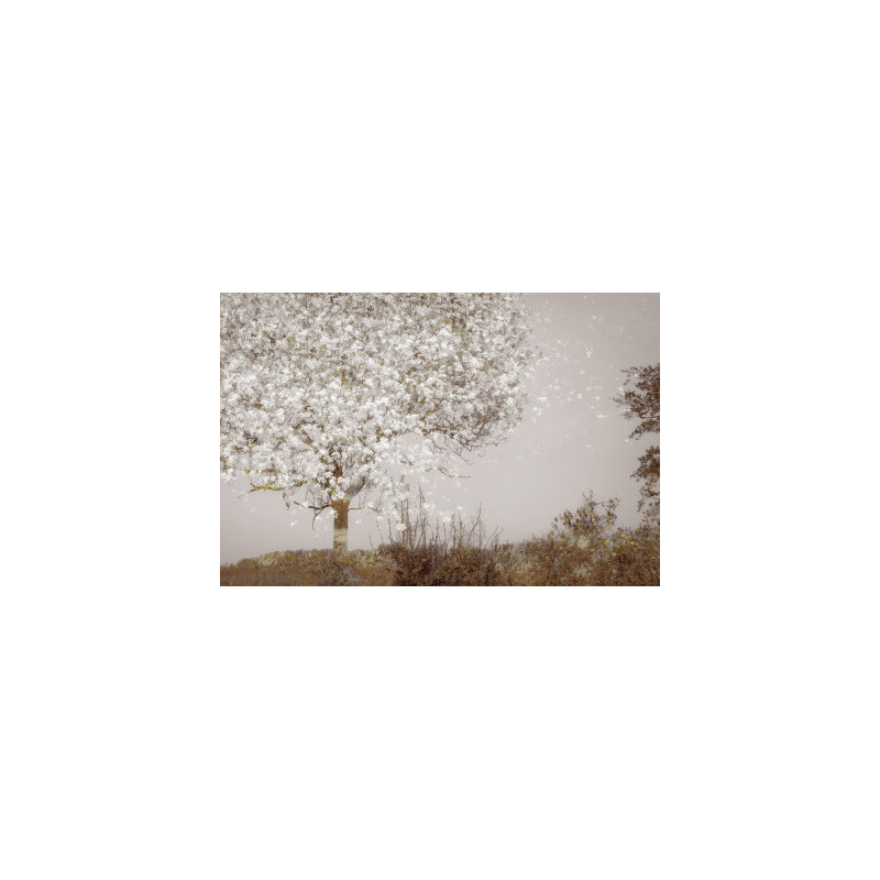Wrapped Canvas Print, 50.8 cm H x 76.2 cm W