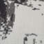 Tapis gris / ivoire Nemaha-954080348