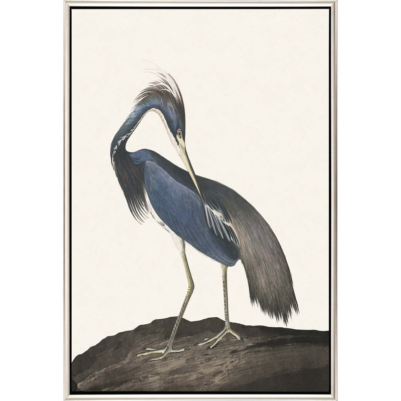 " Great Heron II " by Audubon