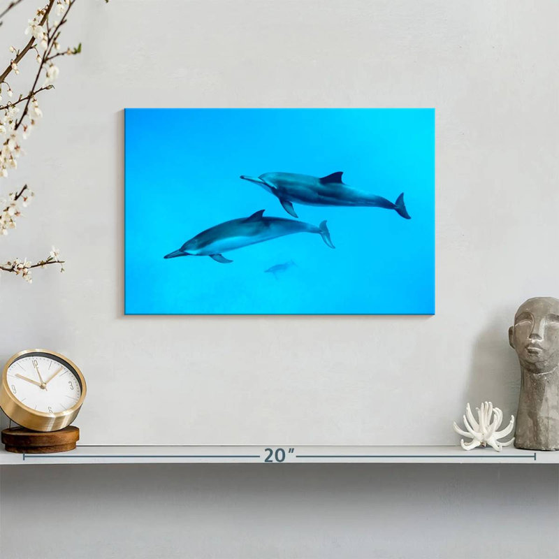 Brampt Maui Spinner Dolphins, 8" H x 12" W