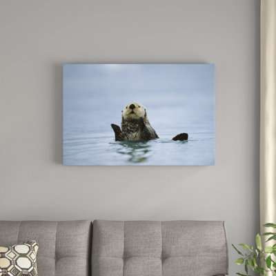 " Sea Otter "