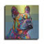 «The Absolute Frenchie» par Dean Russo-1089893886