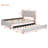 Upholstered Platform Bed with Brick Pattern Headboard and Trundle-1698718385