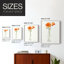 «California Poppy Vase II», reproduction encadrée - bois massif-679422605-679422604