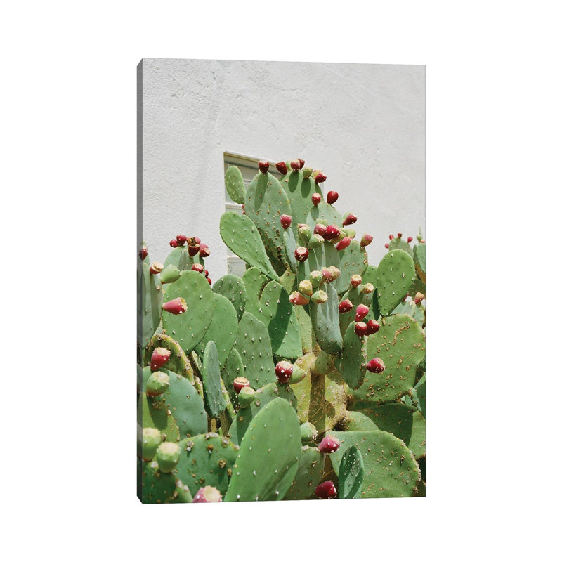 Desert Cactus II by Bethany Young - Gallery-Wrapped Canvas Giclée on Canvas, No Frame, 20.32 cm H x 30.48 cm W