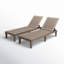 Ikey 21.7'' Outdoor Chaise Lounge-1828118224