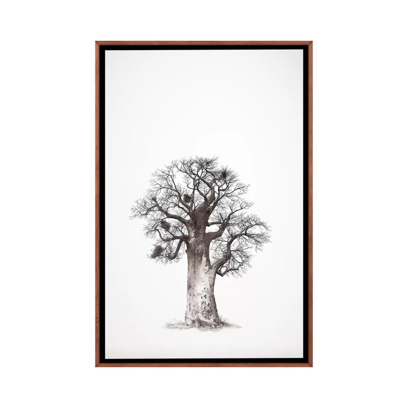 Baobab Legacy V 1 Piece Wall Art on Canvas, 101.6 cm H x 66.04 cm W, Classic Brown Wood Framed