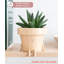 Cute Pots Pot Planter