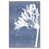 Silver Floater Frame
