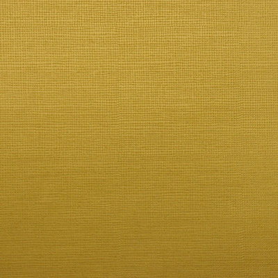 Allure Fabric