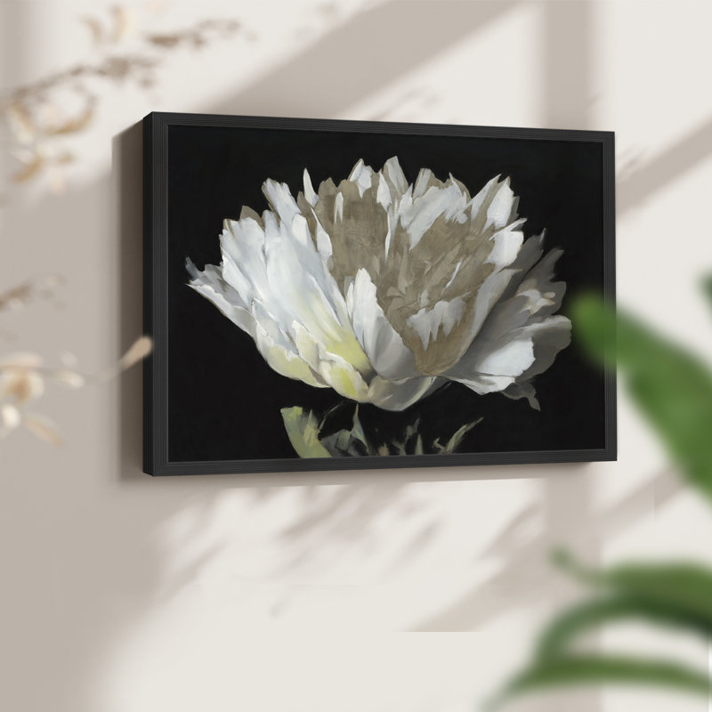 WHITE PEONY - Reproduction encadrée - réversible, H 8 po x l 10 po, Noir