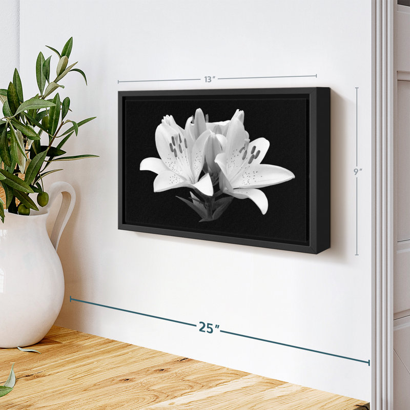 " Monochrome Madonna Lily ", 9" H x 13" W