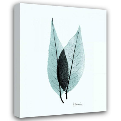 Art sur toile tendue par Winston Porter Koetsier, Albert, cerise bleu sarcelle