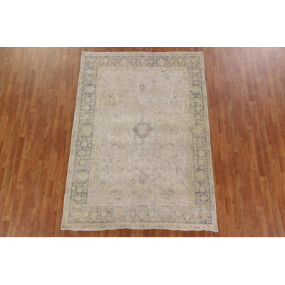 Antique Distressed  Traditional Area Rug 6x8