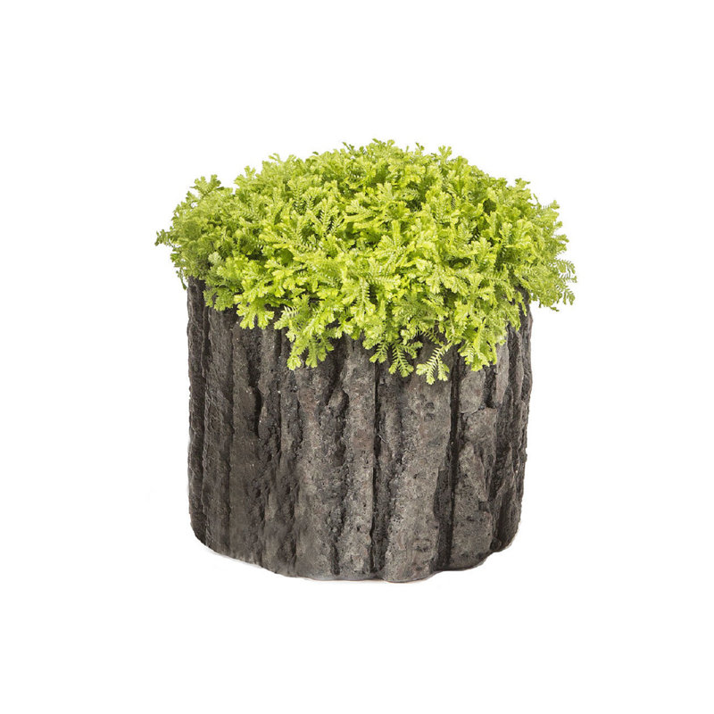 Pot de fleurs en ciment Renita