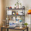 Afroz 95cm W Standard Bookcase